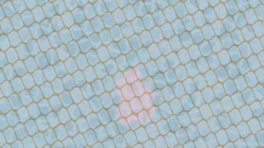 Organik desenli yüzey giriş stili video film sanatı ile soyut arkaplan tasarımı