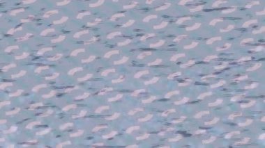 Profesyonel video projeleri sanat tarzı için organik hareketli arkaplan tasarımı