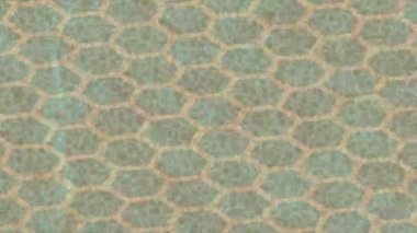 Benzersiz hareket dokusu tasarım sanatı ile profesyonel video düzenleme için modern soyut grafikler