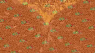 Benzersiz hareket grafikleri tasarım sanatına sahip yaratıcı film üretimi için özet bir arkaplan