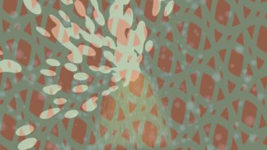 Yaratıcı video düzenleme film arkaplan tasarımı için minimalist organik hareket grafikleri