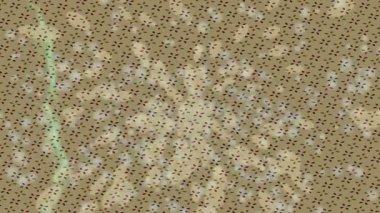 Yaratıcı video düzenleme film arkaplan tasarımı için minimalist organik hareket grafikleri