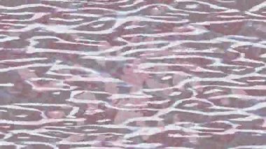 Benzersiz hareket dokusu tasarım sanatı ile profesyonel video düzenleme için modern soyut grafikler