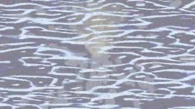 Benzersiz dijital animasyon tarzı grafikleri olan yaratıcı ortam tasarımı için yenilikçi hareket dokusu