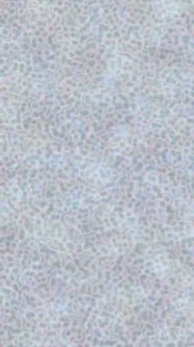 Benzersiz dijital animasyon tarzı grafikleri olan yaratıcı ortam tasarımı için yenilikçi hareket dokusu