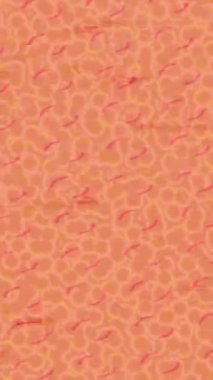 Lüks hareket projeleri için soyut tasarım stili animasyonu olan üst düzey dijital doku