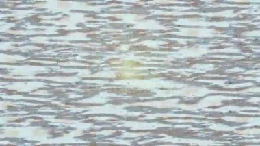 Profesyonel video projeleri sanat tarzı için organik hareketli arkaplan tasarımı