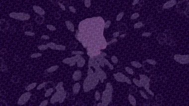 Yaratıcı video düzenleme film arkaplan tasarımı için minimalist organik hareket grafikleri