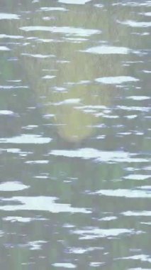 Benzersiz hareket dokusu tasarım sanatı ile profesyonel video düzenleme için modern soyut grafikler