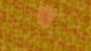 Dijital doku yüzey tasarım biçimi ile modern video animasyonu için gelişmiş hareket grafikleri