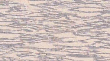 Benzersiz dijital hareket grafiklerine sahip yaratıcı sinematik projeler için yumuşak animasyon yüzeyi