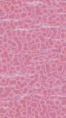 Benzersiz dijital hareket grafiklerine sahip yaratıcı sinematik projeler için yumuşak animasyon yüzeyi