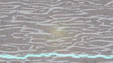 Estetik doku arkaplan tasarımı renkli hareket grafikleri ile moda film giriş profosyoneli