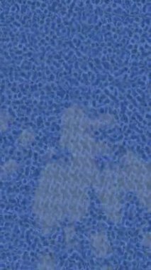 Yaratıcı video düzenleme film arkaplan tasarımı için minimalist organik hareket grafikleri