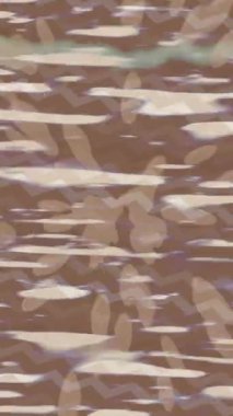 Yaratıcı video düzenleme film arkaplan tasarımı için minimalist organik hareket grafikleri