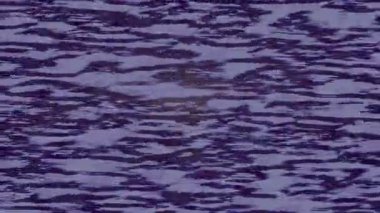 Benzersiz dijital hareket grafiklerine sahip yaratıcı sinematik projeler için yumuşak animasyon yüzeyi