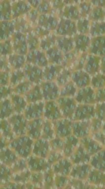 Estetik doku arkaplan tasarımı renkli hareket grafikleri ile moda film giriş profosyoneli