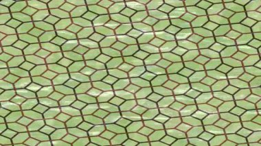 Benzersiz dijital hareket grafiklerine sahip yaratıcı sinematik projeler için yumuşak animasyon yüzeyi