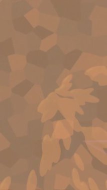 Benzersiz dijital hareket grafiklerine sahip yaratıcı sinematik projeler için yumuşak animasyon yüzeyi