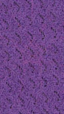 Benzersiz hareket dokusu tasarım sanatı ile profesyonel video düzenleme için modern soyut grafikler