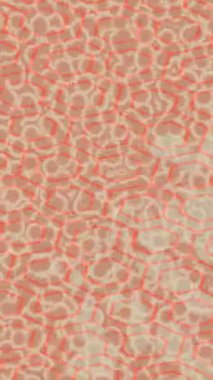 Organik desenli yüzey giriş stili video film sanatı ile soyut arkaplan tasarımı