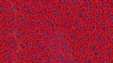 Dijital doku yüzey tasarım biçimi ile modern video animasyonu için gelişmiş hareket grafikleri