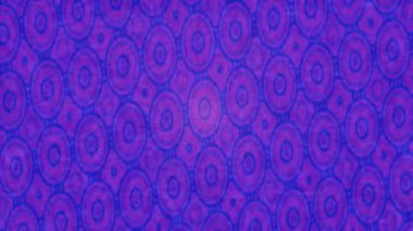 Benzersiz video giriş tasarımı projeleri için detaylı yüzey kalıbı film animasyon stili grafik girişi