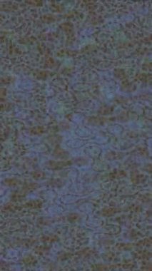 Organik desenli yüzey giriş stili video film sanatı ile soyut arkaplan tasarımı