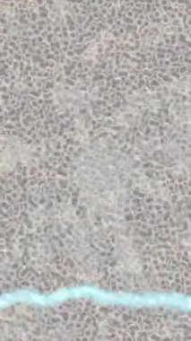 Benzersiz hareket grafikleri tasarım sanatına sahip yaratıcı film üretimi için özet bir arkaplan