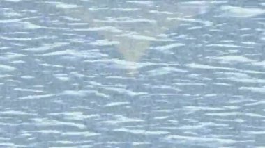 Benzersiz dijital animasyon tarzı grafikleri olan yaratıcı ortam tasarımı için yenilikçi hareket dokusu