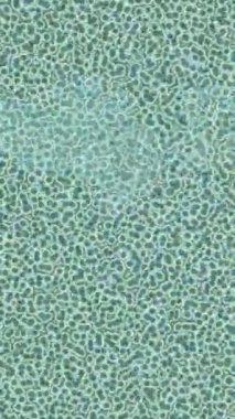 Soyut hareket desenli fütüristik video üretimi için dinamik dijital arkaplan