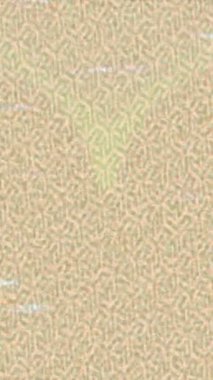 Lüks hareket tasarımı üst düzey video projeleri ve dijital sanat için zarif, pürüzsüz bir dokusu var.