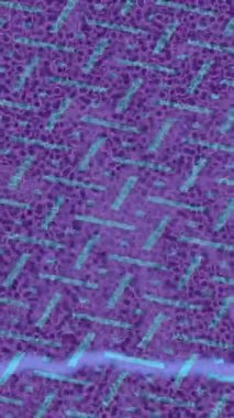 Dijital doku yüzey tasarım biçimi ile modern video animasyonu için gelişmiş hareket grafikleri