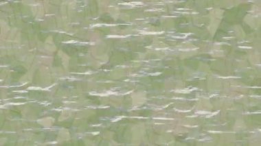 Benzersiz hareket dokusu tasarım sanatı ile profesyonel video düzenleme için modern soyut grafikler