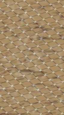 Yaratıcı video düzenleme film arkaplan tasarımı için minimalist organik hareket grafikleri