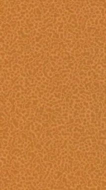 Estetik doku arkaplan tasarımı renkli hareket grafikleri ile moda film giriş profosyoneli