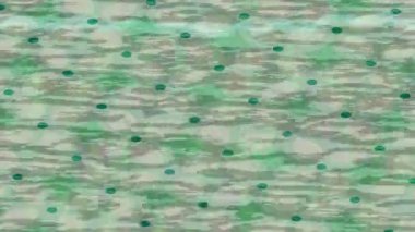 Organik desenli yüzey giriş stili video film sanatı ile soyut arkaplan tasarımı