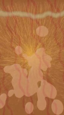 Yaratıcı video düzenleme film arkaplan tasarımı için minimalist organik hareket grafikleri