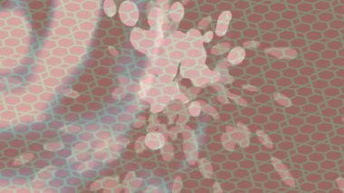 Yaratıcı video düzenleme film arkaplan tasarımı için minimalist organik hareket grafikleri