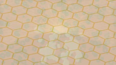 Yaratıcı video düzenleme film arkaplan tasarımı için minimalist organik hareket grafikleri