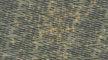 Yaratıcı video düzenleme film arkaplan tasarımı için minimalist organik hareket grafikleri