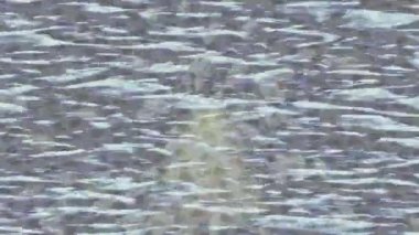 Benzersiz video giriş tasarımı projeleri için detaylı yüzey kalıbı film animasyon stili grafik girişi