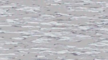 Lüks hareket projeleri için soyut tasarım stili animasyonu olan üst düzey dijital doku