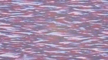 Benzersiz hareket dokusu tasarım sanatı ile profesyonel video düzenleme için modern soyut grafikler