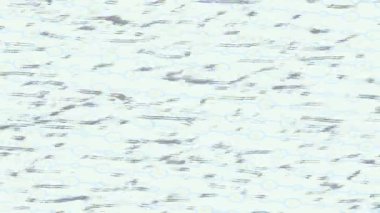 Profesyonel video projeleri sanat tarzı için organik hareketli arkaplan tasarımı