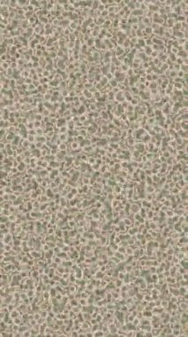 Benzersiz video giriş tasarımı projeleri için detaylı yüzey kalıbı film animasyon stili grafik girişi