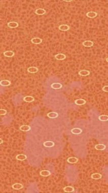 Yaratıcı video düzenleme film tasarımı için benzersiz hareket grafikleri biçimi giriş hareketi video pro