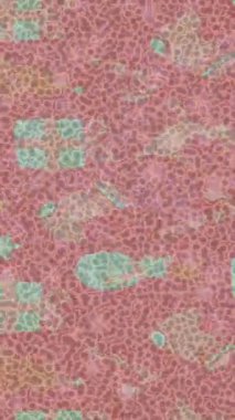 Benzersiz dijital hareket grafiklerine sahip yaratıcı sinematik projeler için yumuşak animasyon yüzeyi