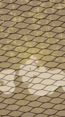 Yaratıcı video düzenleme film arkaplan tasarımı için minimalist organik hareket grafikleri