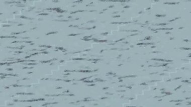 Lüks hareket projeleri için soyut tasarım stili animasyonu olan üst düzey dijital doku